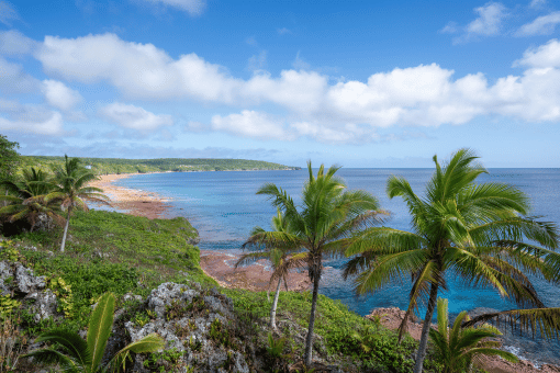 Niue Coastline