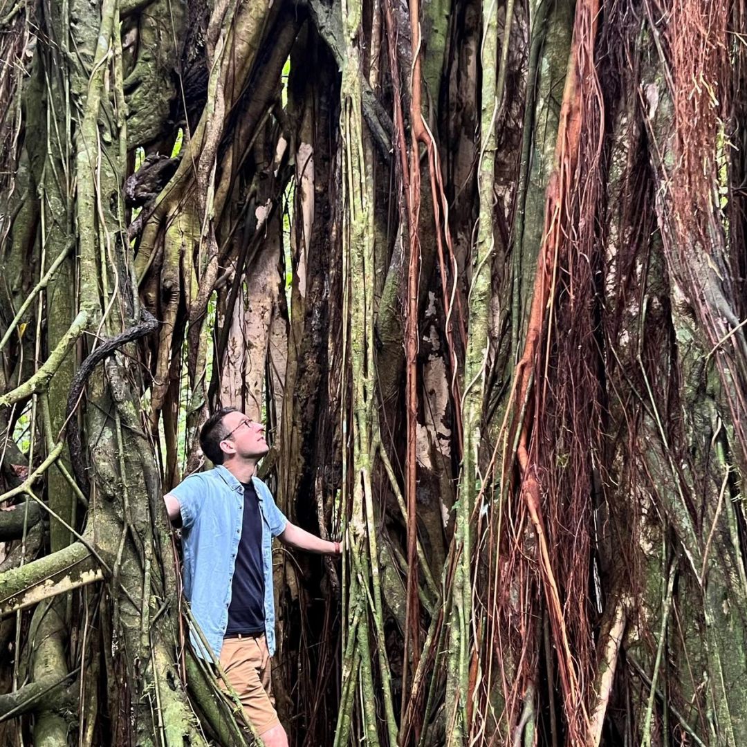 a person standing in a forest