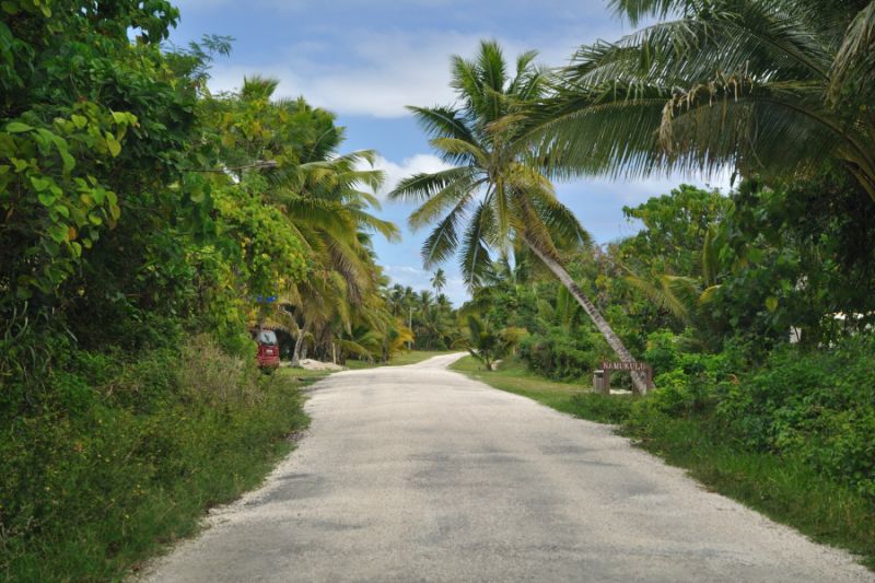 a road with trees and bushes along it