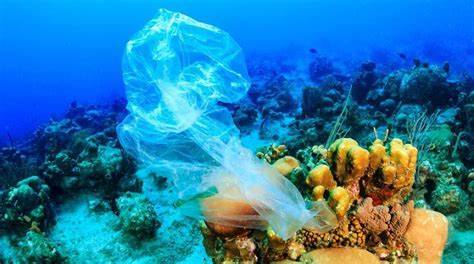 Plastic bag found in ocean