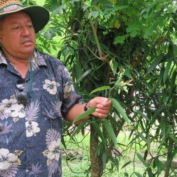 a person holding a green plant