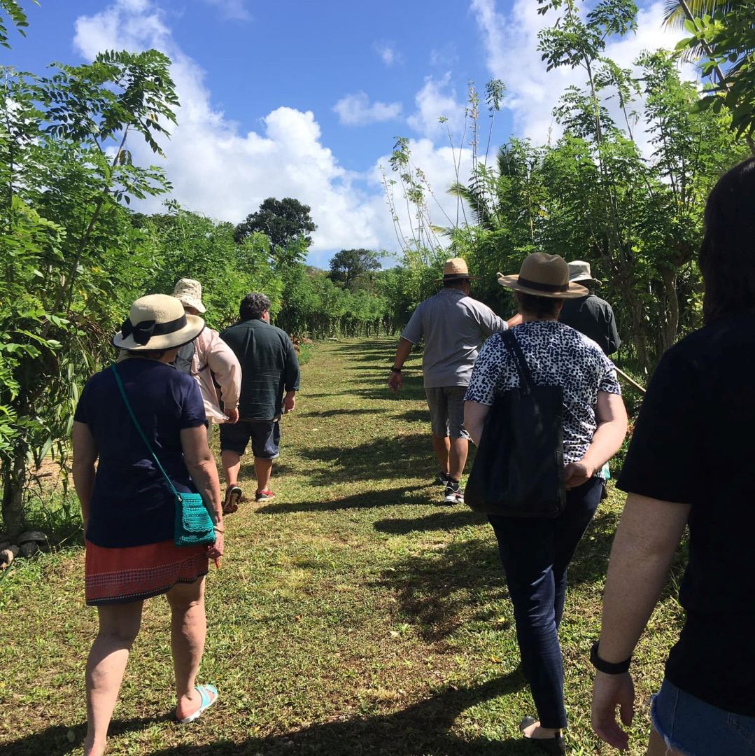 a group of people walking on a path through a forest