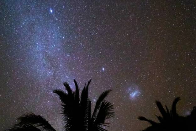 a starry night sky with palm trees and stars