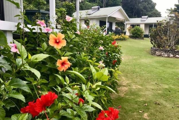 flowers in the garden of the namukula lodge