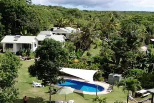 A group of houses with trees and a swimming pool