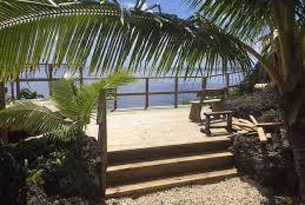 a beach with palm trees